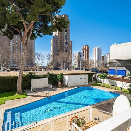 Albatros 2-6 Estudio Levante ベニドルム